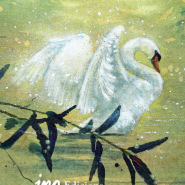 Guia - Contes escollits de Hans Christian Andersen